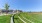 a road with grass and trees