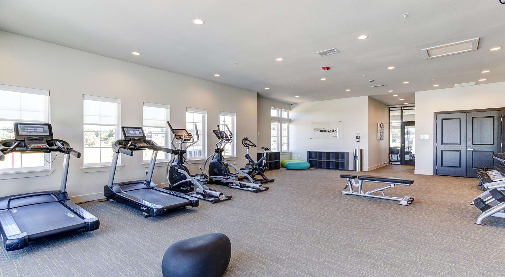 Everything within reach a gym with exercise equipment